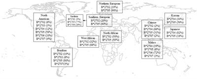 Genetics of Ankylosing Spondylitis—Focusing on the Ethnic Difference Between East Asia and Europe